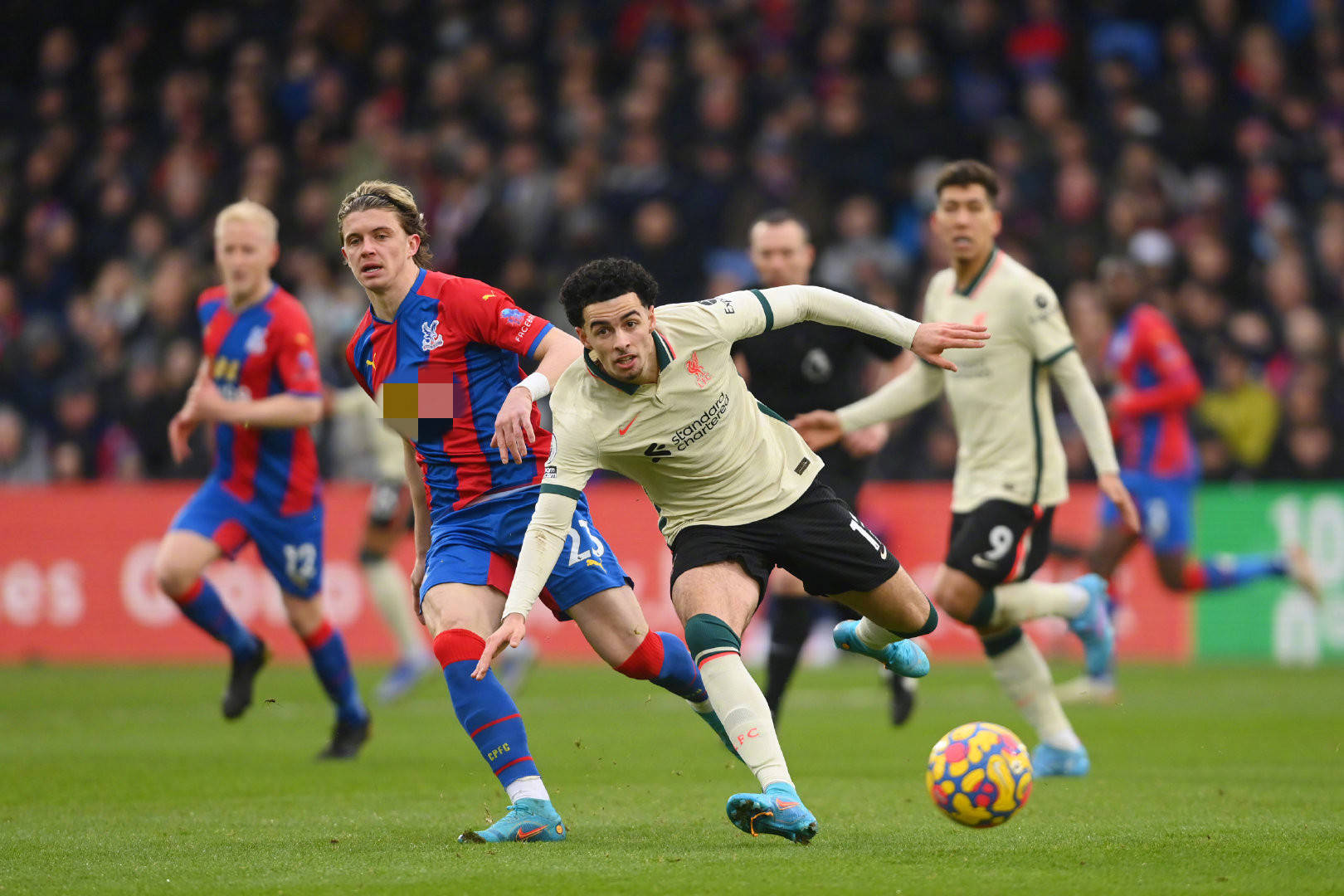 能真正崛起 能真正崛起