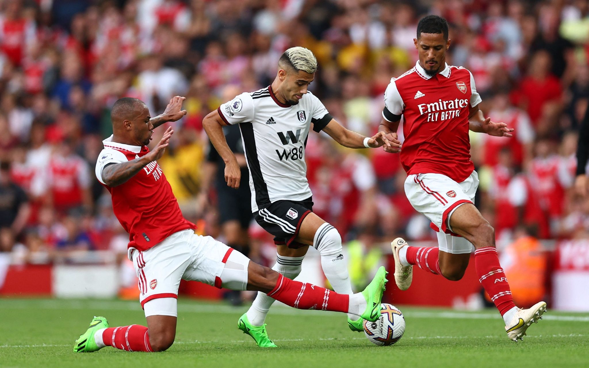 中培养更加 中培养更加